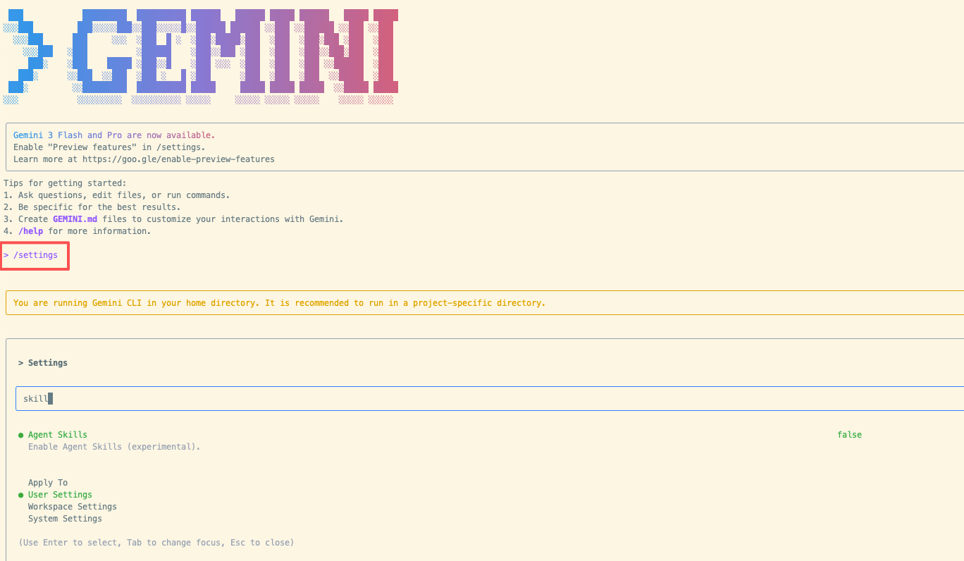 gemini enable skills